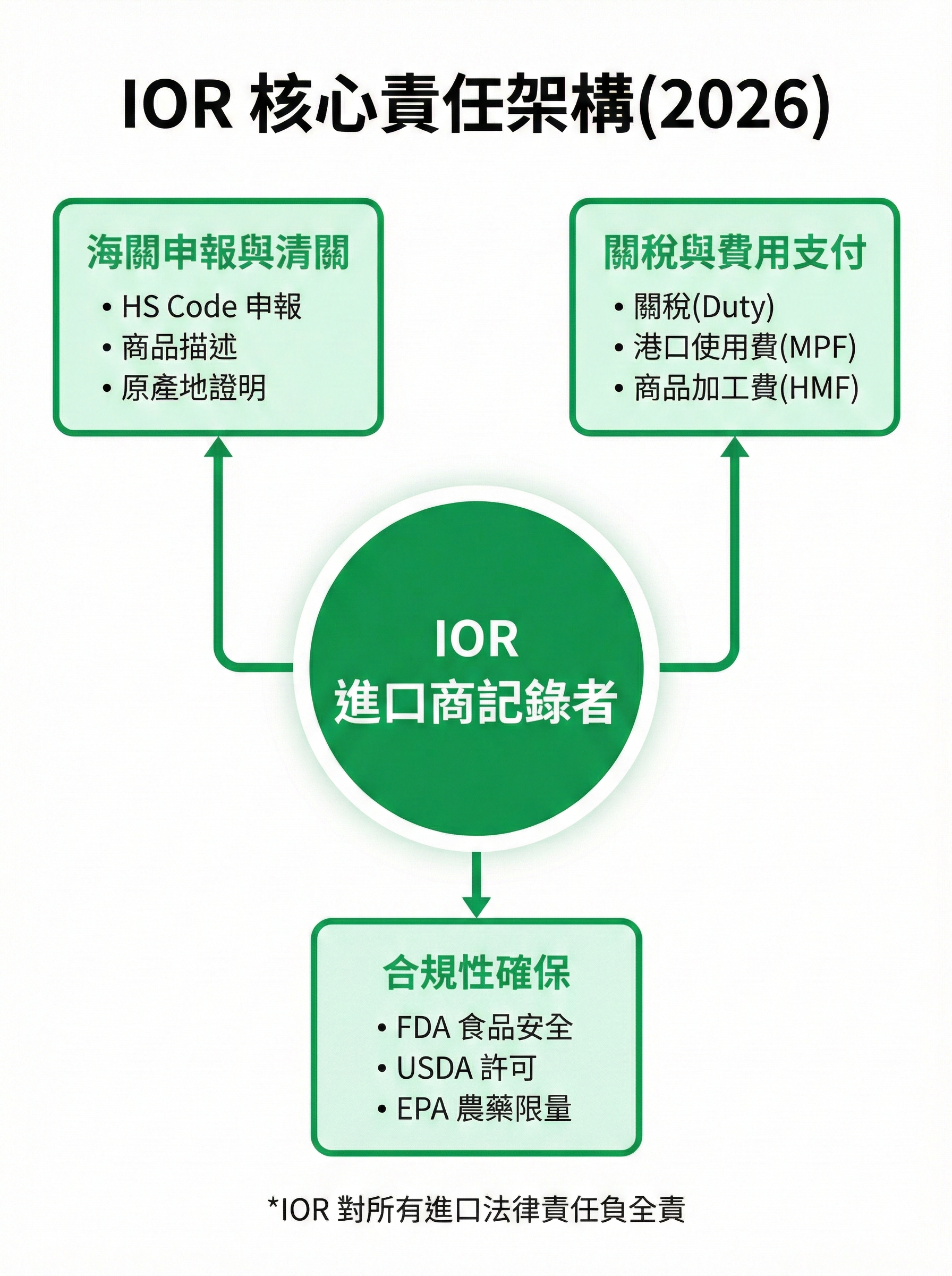IOR 核心責任架構圖,顯示海關申報、關稅支付與合規確保三大責任範圍,包含具體義務項目說明